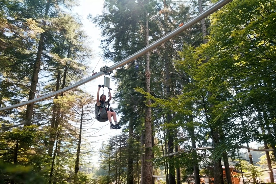 Pinzolo – Novità estate 2026: Forest Zipline a Prà Rodont