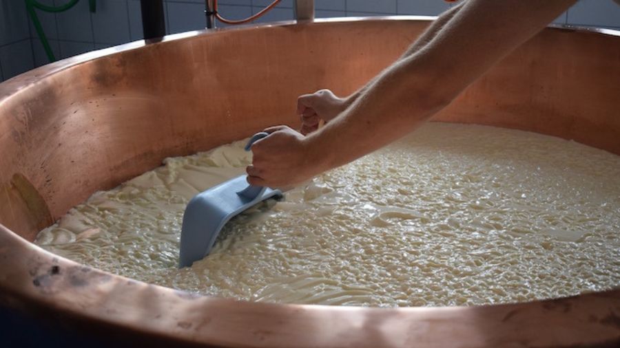 Comunicato stampa in merito alle dichiarazioni dell’Assessore Zanotelli sulla sicurezza dei formaggi a latte crudo nella seduta del consiglio provinciale in data 10 giugno 2026