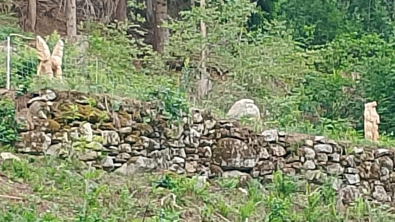 Pinzolo-Prà Rodont: tra arte e recupero del paesaggio storico