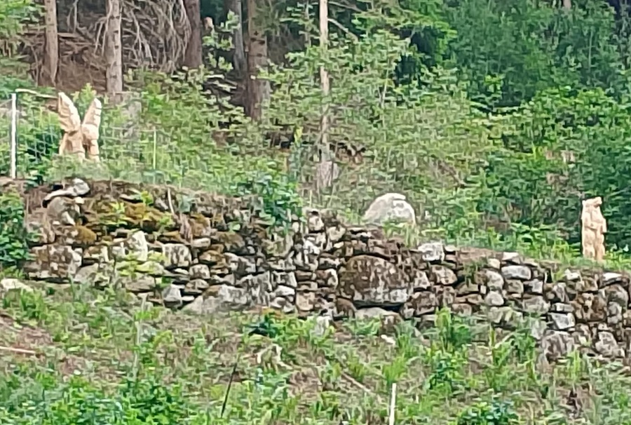 Pinzolo-Prà Rodont: tra arte e recupero del paesaggio storico