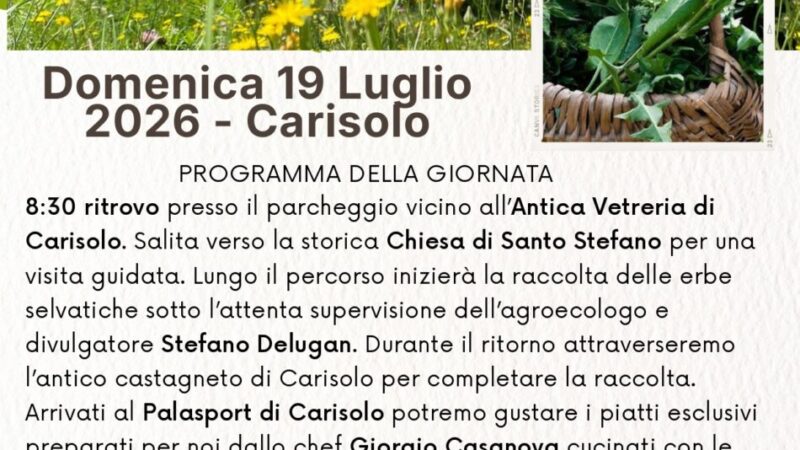 Carisolo Domenica 19 luglio “I tesori spontanei”