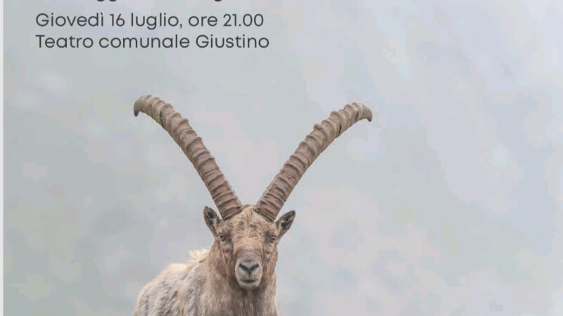 “Sgrisul – Brivido di Montagna” Viaggio in immagini