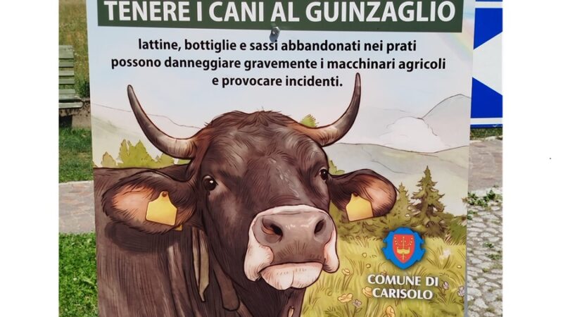 Carisolo: Prati da rispettare, a tutela dell’agricoltura
