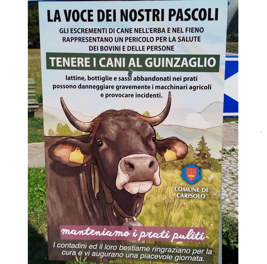 Carisolo: Prati da rispettare, a tutela dell’agricoltura