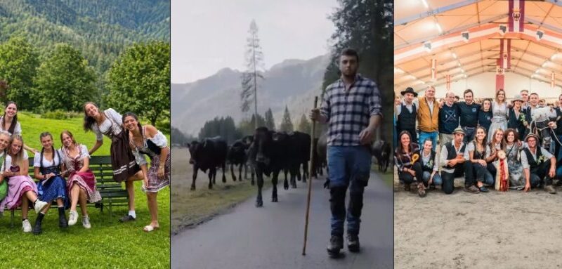 Più di 110.000 visualizzazioni in meno di 48 ore! Un successo straordinario per il reel promozionale delle manifestazione Giovenche!