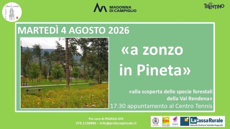 Pinzolo: Martedì 4 agosto ore 17.30 “A zonzo in Pineta” Alla scoperta delle specie forestali  della Val Rendena