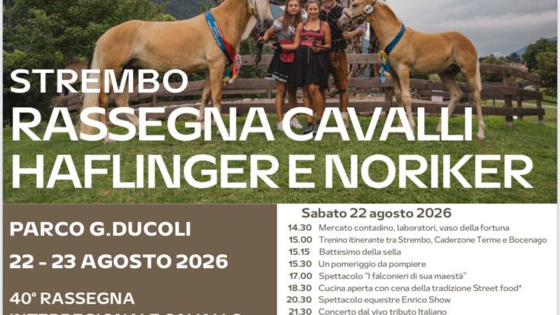 Strembo 22-23 agosto: 40^ edizione “Rassegna Cavalli Haflinger e Noriker”
