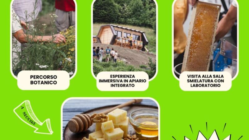Strembo Giovedì 20 agosto “Sulle frequenze della natura”