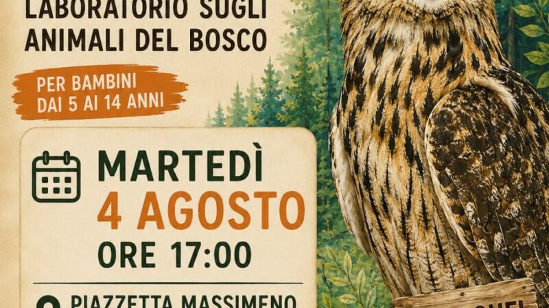 Massimeno 4/5 agosto “Giornata Mondiale del Gufo”