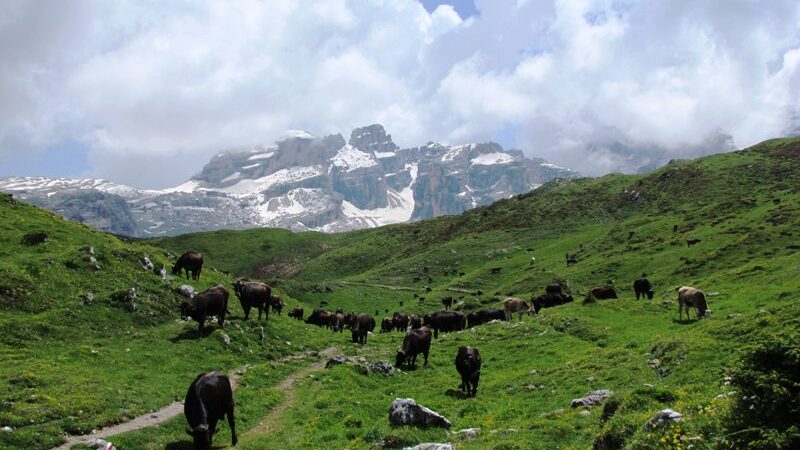 Nuovi problemi, nuovi strumenti: il territorio va anche misurato
