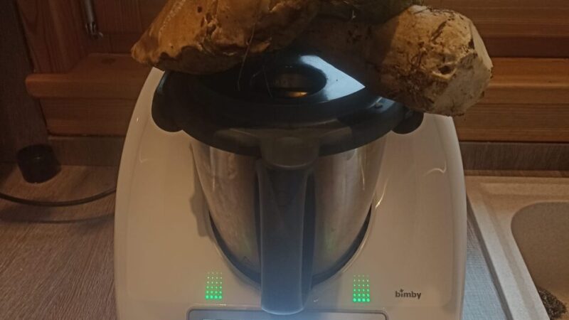 Doss del Sabion: Non solo alpeggio, ma anche un “orto” di porcini!