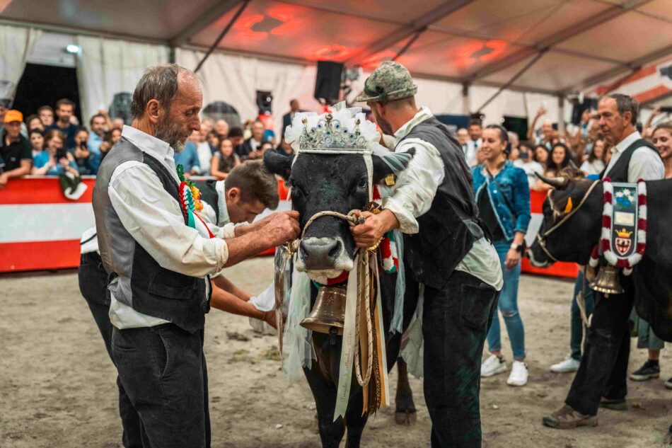 Con “Giovenche di razza Rendena”, è stata una grande festa per la bovina autoctona e le famiglie di allevatori e allevatrici