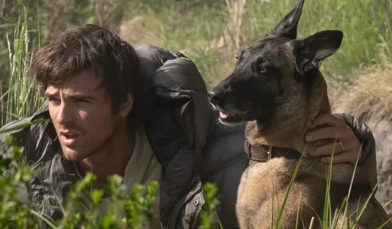 Torna il grande cinema al Paladolomiti Lunedì 21 settembre ore 21 The Dog Stars – Le stelle dopo la fine” Film a 3.50 euro