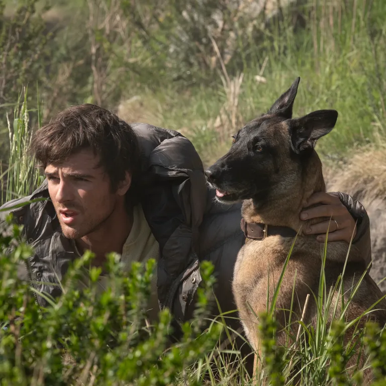 Torna il grande cinema al Paladolomiti Lunedì 21 settembre ore 21 The Dog Stars – Le stelle dopo la fine” Film a 3.50 euro