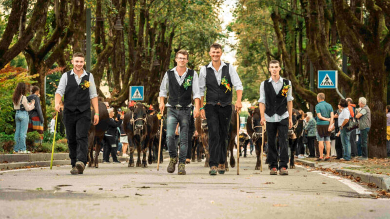 Dalle Dolomiti al Lago d’Idro, ruralità in festa